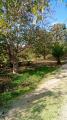 Particella, SAN PIETRO IN LAMA, 120.000 €, 20000,00 mq