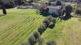 Casa, LUCCA, Cerasomma, 1.000.000 €, 600,00 mq