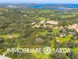 Particella, SANTA TERESA GALLURA, 465.000 €, 3866,00 mq