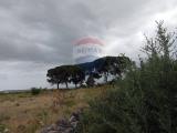 Particella, BELPASSO, 90.000 €, 5600,00 mq