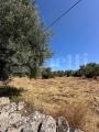 Particella, OSTUNI, 45.000 €, 11100,00 mq