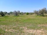 Particella, CECINA, 135.000 €, 90,00 mq