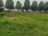 Particella, GAVELLO, 30.000 €, 877,00 mq