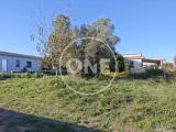 Particella, NETTUNO, 24.000 €, 450,00 mq