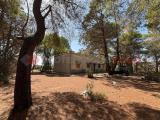 Casa, SAVA, 320.000 €, 160,00 mq