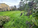Particella, FORLI, 90.000 €, 540,00 mq