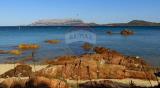 Appartamento, OLBIA, Pittulongu, 490.000 €, 120,00 mq