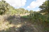 Particella, BERCHIDDA, 95.000 €, 54548,00 mq