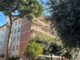 Affitto, Appartamento, CIAMPINO, 620 €, 40,00 mq