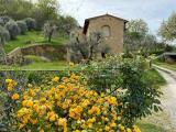 Casa, VOLTERRA, 300.000 €, 130,00 mq