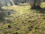 Particella, TERNI, 50.000 €, 11120,00 mq