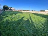 Particella, PULSANO, 48.000 €, 652,00 mq