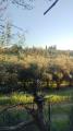 Affitto, Appartamento, LASTRA A SIGNA, 2.800 €, 160,00 mq