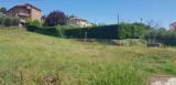 Particella, TODI, 35.000 €, 800,00 mq