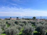 Casa, MANERBA DEL GARDA, 499.000 €, 232,00 mq