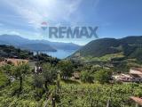 Particella, VIGOLO, 65.000 €, 1317,00 mq