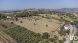 Particella, OSIMO, 99.900 €, 9516,00 mq