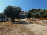 Particella, VIESTE, 169.000 €, 4625,00 mq