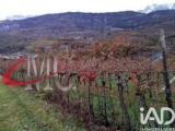 Particella, ROVERETO, Noriglio, 230.000 €, 9000,00 mq