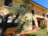 Casa, PIEVE A NIEVOLE, 390.000 €, 300,00 mq