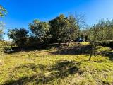 Particella, MUGGIA, 82.000 €, 2350,00 mq