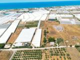 Particella, VITTORIA, 21.000 €, 4475,00 mq