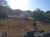 Particella, LINGUAGLOSSA, 55.000 €, 851,00 mq