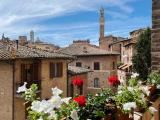 Affitto, Appartamento, SIENA, Centro, 1.100 €, 90,00 mq