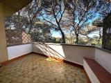 Appartamento, ROSIGNANO MARITTIMO, 128.000 €, 43,00 mq