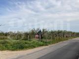 Particella, SAN SEVERO, 500.000 €, 25600,00 mq