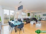 Affitto, Appartamento, MILANO, zona San Siro, 4.400 €, 270,00 mq