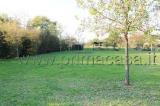 Particella, VERONA, 55.000 €, 1967,00 mq