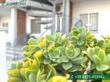 Casa, CAMPOMARINO, 75.000 €, 50,00 mq