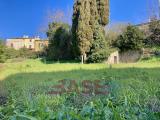 Particella, MONTESCUDAIO, 170.000 €, 360,00 mq
