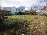 Particella, MESAGNE, 650.000 €, 1000,00 mq
