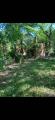 Casa, CASTELFIORENTINO, 95.000 €, 180,00 mq