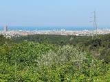 Particella, LIVORNO, Limoncino, 105.000 €, 3500,00 mq