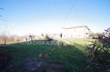 Particella, MONTEPULCIANO, 90.000 €, 1310,00 mq