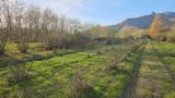 Particella, CUMIANA, 5.000 €, 1490,00 mq