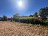 Particella, TERRACINA, 29.000 €, 2200,00 mq