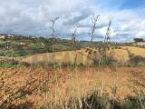 Particella, CALTAGIRONE, 30.000 €, 6610,00 mq
