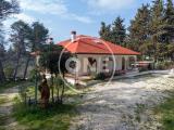 Casa, PESCARA, San Silvestro, 312.000 €, 295,00 mq