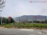 Particella, VEROLI, 45.000 €, 3400,00 mq