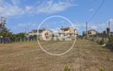 Particella, NETTUNO, 44.000 €, 1666,00 mq