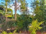Appartamento, CAMPARADA, 95.000 €, 85,00 mq