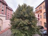 Appartamento, FORLI, 175.000 €, 85,00 mq