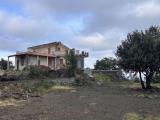 Particella, MASCALI, 219.000 €, 11350,00 mq