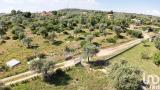 Particella, SASSARI, Ottava, 66.000 €, 50,00 mq
