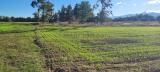 Particella, CUMIANA, 7.300 €, 3165,00 mq