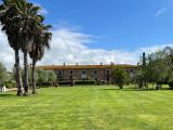 Appartamento, SAN VINCENZO, 420.000 €, 75,00 mq